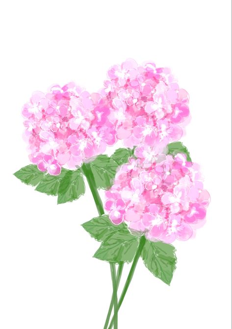 Hydrangea Illustration, Coastal Photos, Hydrangea Clipart, Feminine Home Decor, Pink Floral Art, Bird Illustration Print, Hydrangea Wall, Hydrangea Wall Art, Feminine Home