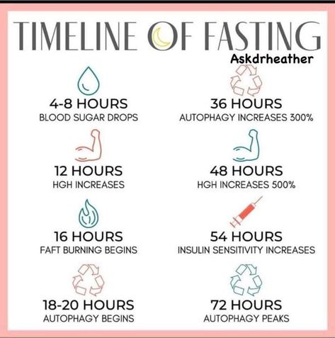 Fasting Timeline, Autophagy Fasting, Apply Nail Polish, Keto Recipes For Beginners, Nail Care Products, Fast And Pray, Calorie Burning Workouts, Too Much Estrogen, Holistic Diet