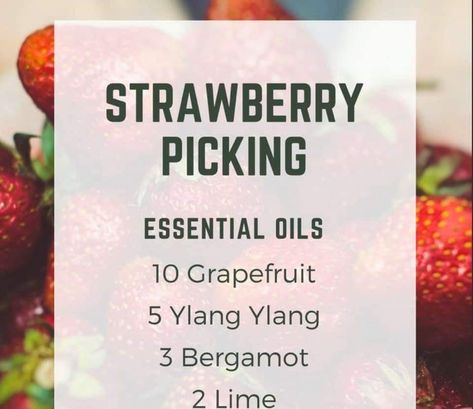 Diffuser Blends For Fruit Flies, Cherry Essential Oil Blends, Strawberry Diffuser Blend, Strawberry Essential Oil Blend, Fruity Essential Oil Diffuser Blends, Fruity Diffuser Blends, Strawberry Shortcake Essential Oil Blend, Strawberry Essential Oil, Fruit Fly Diffuser Blend