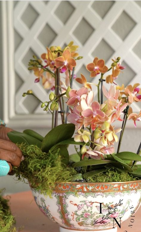 Creating an Elegant Orchid Centerpiece: A Simple Guide for Stunning Table Decor Diy Orchid Arrangement, Orchid Wedding Centerpieces, Orchid Centerpieces Wedding, Diy Orchids, Orchid Centerpiece, Tropical Theme Party, Orchid Centerpieces, Wedding Diary, Orchid Wedding