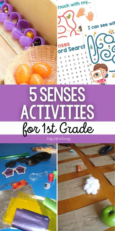 5 Senses Activities for 1st Grade Human Body Lesson, Homeschool Science Lessons, 5 Senses Activities, Earth Science Lessons, Elementary Science Activities, Homeschool Science Curriculum, Senses Activities, Sense Of Sight, Homeschool Elementary