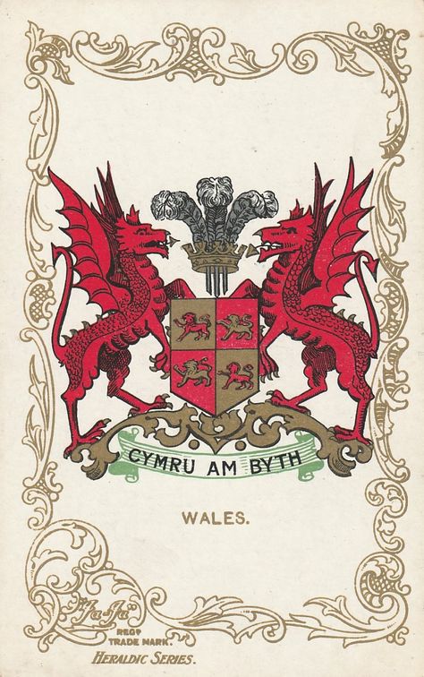 Welsh Tattoo, Welsh Sayings, Wales Dragon, Welsh History, Welsh Ancestry, Learn Welsh, Wales Flag, Welsh Language, Welsh Dragon