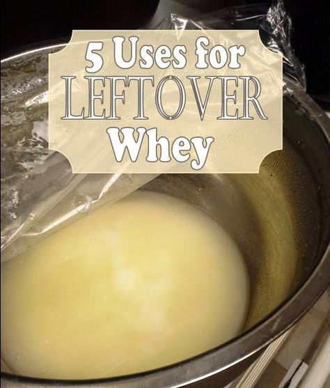 5 ideas for using whey that is leftover from making Greek yogurt. Whey Uses Recipes, What To Do With Leftover Whey, What To Do With Whey From Yogurt, Recipes Using Whey From Yogurt, Using Whey From Yogurt, Uses For Whey From Yogurt, How To Use Whey From Yogurt, Whey Recipes Leftover, Whey Recipes Liquid