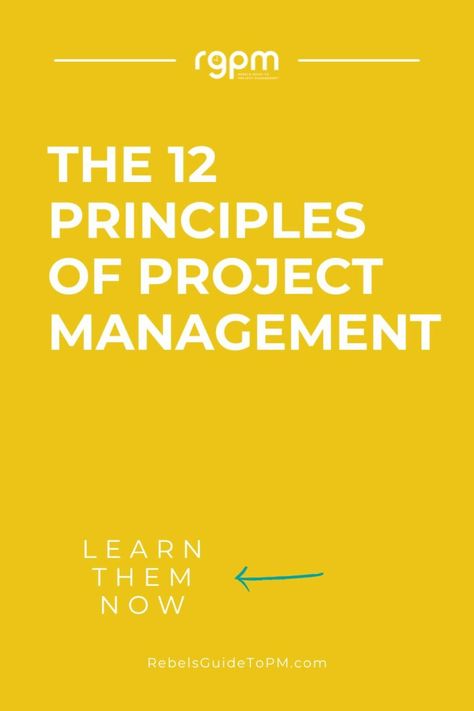 The 12 Principles of Project Management 5 Project Management Books, Change Management Models, Project Management Dashboard, Pmp Exam, Systems Thinking, Management Books, Project Management Tools, Business Analyst, Change Management