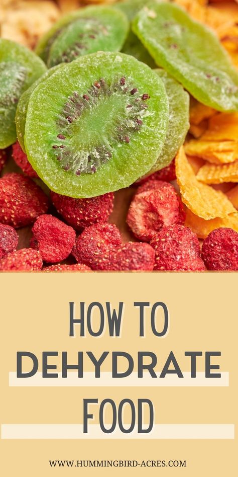 Dehydrating For Beginners, What To Dehydrate, Dehydrated Recipes, Dehydrating Food Storage, Homesteading Life, Small Homestead, Food Dehydration, Dehydrating Food, Food Preserving