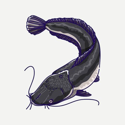 Catfish Illustration, Catfish Art, Catfish Fish, Menu Project, Nick Jackson, Yin Yang Fish, Ikan Lele, Ayang Ku, Animal Illustration Kids