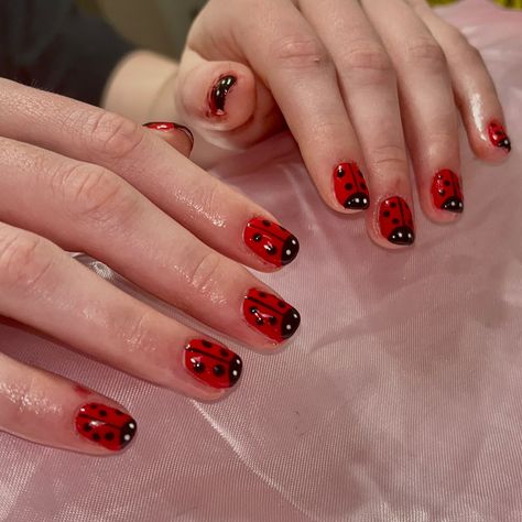 Bet you didn’t spot these bugtastic nails coming in late fall season 🐞 . Book in BlO✨ . . . . #nails #nailartist #nailart #naildesigns #nailinspo #smallbusiness #smallartist #beginnernailtech #tallynailtech #tallahassee #fsu #famu #tsc #biab #ladybug #rednails #polkadots #fallnails #cutenails Ladybug Toe Nails, Lady Bird Nails, Ladybug Nails Designs, Miraculous Ladybug Nails, Insect Nails, Ghibli Nails, Bug Nails, Ladybug Nail Art, Apple Nails