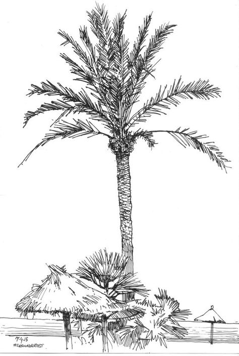 2ee4f7702c797ec27119d70290429fb6 Black and white palm tree illustration with thatched roofs and foliage in the foreground. Tropical beach scene. | Sky Rye Design Palm Tree Ink Drawing, Sketch Palm Tree, Palm Tree Architecture Drawing, Palm Tree Drawing Sketches, Tree Sketch Architecture, Palm Sketch, Island Sketch, Palm Tree Sketch, Summer Sketches