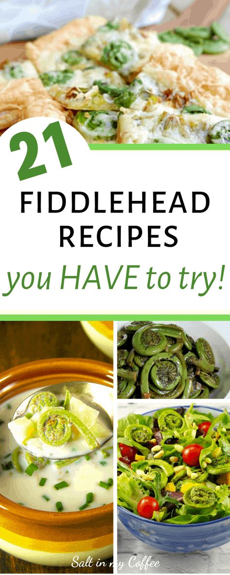 Fiddlehead Recipes you HAVE to try - Salt in my Coffee Fiddlehead Fern Recipes, Fiddlehead Recipes, Asparagus Pizza, Fiddlehead Fern, Fruit Leather Recipe, Fiddlehead Ferns, Foraging Recipes, Foraged Food, Lemon Pasta