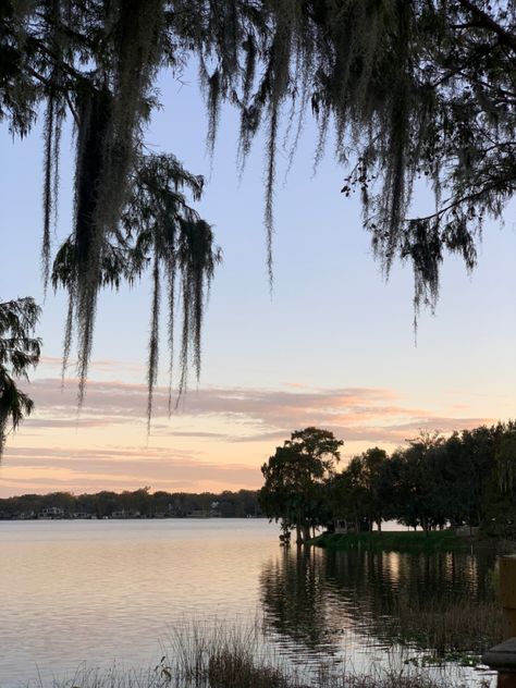 Lake Virginia at Rollins College #collegelife #lake #sunset #photography #rollycolly Lake Sunset Photography, Lake Buena Vista Florida, Rollins College, Spring Breakers, Lake Sunset, All Grown Up, 2024 Vision, College Life, Sunset Photography