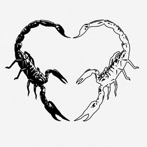 Two Scorpios Together Tattoo, Scorpion Aesthetic Art, Scorpio Tattoo With Heart, Aesthetic Scorpion Tattoo, Scorpion Tattoo Aesthetic, Two Scorpions Heart Tattoo, Squirpion Tattoos, Scorpio Heart Tattoo, Two Scorpions Tattoo