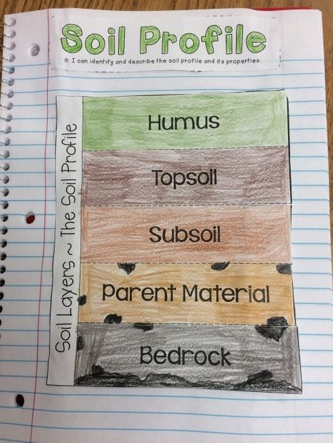 Types Of Rocks Worksheet, Soil Worksheet, Rocks Worksheet, Edible Soil, Layers Of Soil, Soil Activities, Types Of Rocks, Grade 3 Science, Activities Elementary