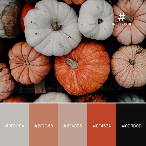 Just all things pumpkins! 🎃 which colour palette is your favourite? #colorpalette #color #colors #graphicdesign #design #colorinspiration #colourpalette #colorscheme #branding #colorful #colortheory #designinspiration #colour #brandidentity #pantone #inspiration #graphicdesigner October Color Palette, Color Pallets, Color Theory, Colour Palette, Color Inspiration, Pumpkins, Color Schemes, Color Palette, Design Inspiration