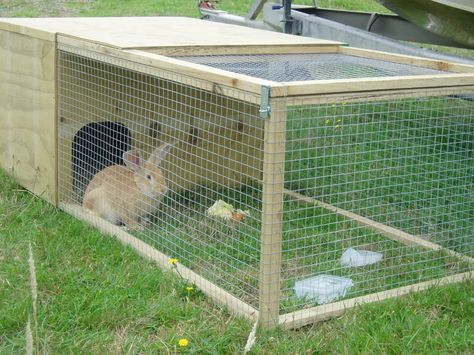 Rabbit Cages Outdoor, Rabbit Hutch Plans, Diy Rabbit Cage, Diy Rabbit Hutch, Outdoor Rabbit Hutch, Rabbit Farm, Meat Rabbits, Guinea Pig House, Rabbit House