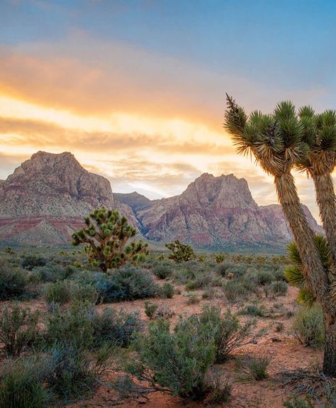 Nevada Desert Landscape, Nevada Aesthetic, Nevada Landscape, Neon Desert, Horse Background, Road Trip Ideas, Best Road Trips, Great Basin National Park, American States