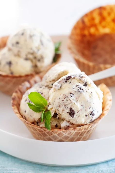 Mint Chocolate Chip Ice Cream Recipe Mint Ice Cream Recipe, Mint Recipes Fresh, Homemade Mint Chocolate Chip Ice Cream, Mint Chocolate Chip Ice Cream Recipe, Chocolate Chip Ice Cream Recipe, Goat Milk Recipes, Mint Chip Ice Cream, Mint Chocolate Chip Ice Cream, Mint Ice Cream