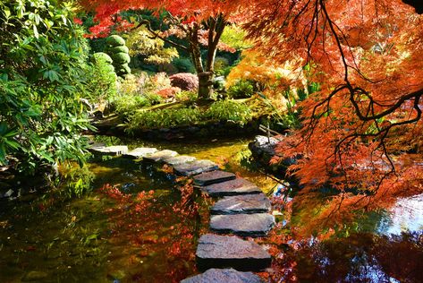 Asian Inspired Garden, Seoul Garden, Japanese Garden Zen, Buchart Gardens, Moody Gardens, Bush Garden, Japanese Garden Landscape, Victorian Gardens, Butchart Gardens