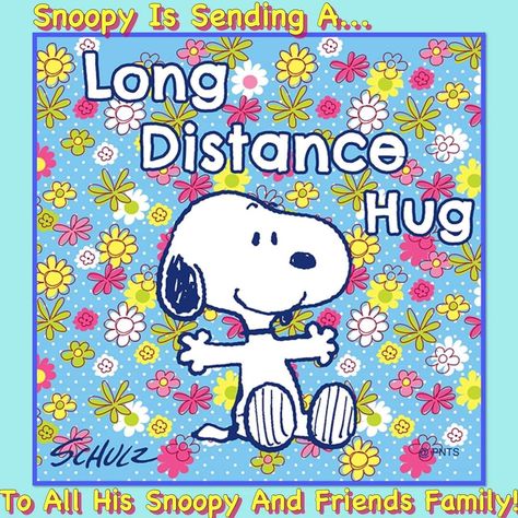 Long Distance Hug, Snoopy Hug, Charlie Brown Quotes, Good Morning Snoopy, Snoopy Dog, Snoopy Cartoon, Hug Quotes, Whatsapp Videos, Snoopy Funny