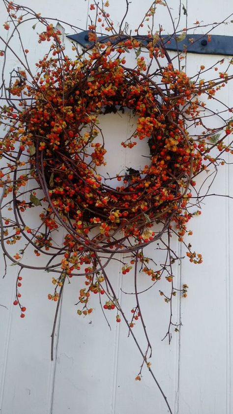 Follow The Yellow Brick Home - Simple and Elegant Fall Wreath Ideas DIY Fall Wreaths Pinecones Wreaths, Bittersweet Wreath, Fall Wreath Ideas Diy, Bittersweet Vine, Wreath Ideas Diy, Diy Fall Wreaths, Elegant Fall Wreaths, Fall Wreath Ideas, Easy Fall Wreaths