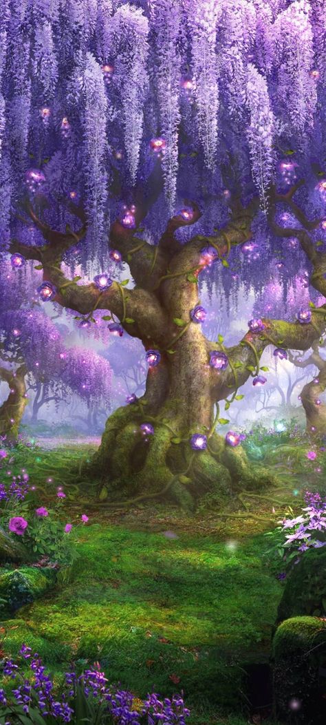 The Cursed Heart - Fae Forest Fae Forest, Enchanted Tree, Fairy Tale Forest, Forest Drawing, Magical Tree, Fairy Tree, Forest Background, Mystical Forest, Heart Background