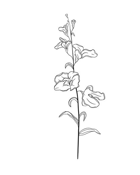 April Birth Flower Drawing, Birth Flower Drawings, Sweetpea Tattoo, Sweetpea Flower Tattoo, April Flower Tattoo, Grandparent Tattoo, April Tattoos, Sweetpea Flower, April Birth Flower Tattoo