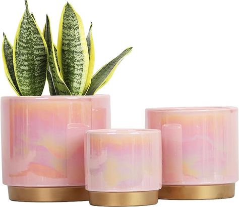 Amazon.com : Gepege Ceramic Indoor Pots for Plants, Rainbow Pearl Glaze Planter with Drainage Hole, 6.0 inch+5.0 Inch+4.0 Inch. Orchid Flower Pots : Patio, Lawn & Garden Pots For Plants, Plant Games, Rainbow Pearl, Orchid Pot, Indoor Outdoor Planter, Self Watering Planter, Ceramic Flower Pots, Pink Ceramic, Ceramic Pots