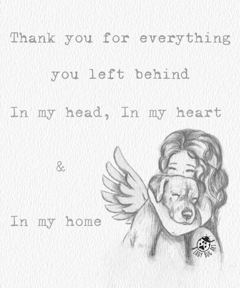 Dog Angel Wings Tattoo, Miss My Dog Pet Loss, Missing My Dog In Heaven, Losing A Pet Quote Dogs, Losing A Dog Quotes, Dog In Heaven, Losing A Pet Quotes, Dog Heaven Quotes, Miss My Dog