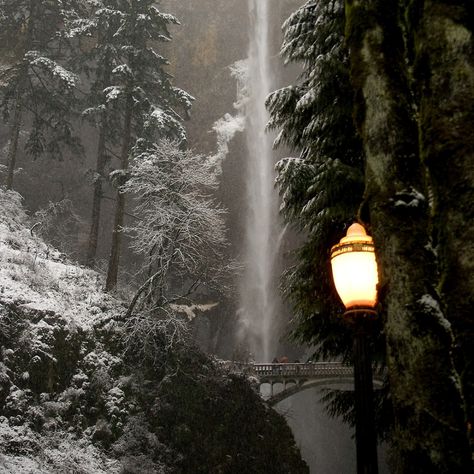 Multnomah Falls, Dark Christmas, Chronicles Of Narnia, Winter Magic, Snowy Day, The Grove, Christmas Mood, Winter Aesthetic, Christmas Aesthetic