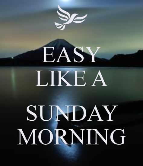 Easy Like A Sunday Morning, Easy Like Sunday Morning Quotes, Easy Like Sunday Morning Quotes Image, Lazy Sunday Morning Perfume, Sunday Meme, Sunday Night Meme, Sunday Morning Memes, Sunday Morning Quotes, Sunday Images