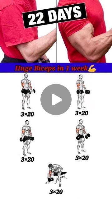 Biceps Workout At Home, Big Biceps Workout, Huge Biceps, Big Biceps, Abs And Cardio Workout, Biceps Workout, January 12, Cardio Workout, Upper Body