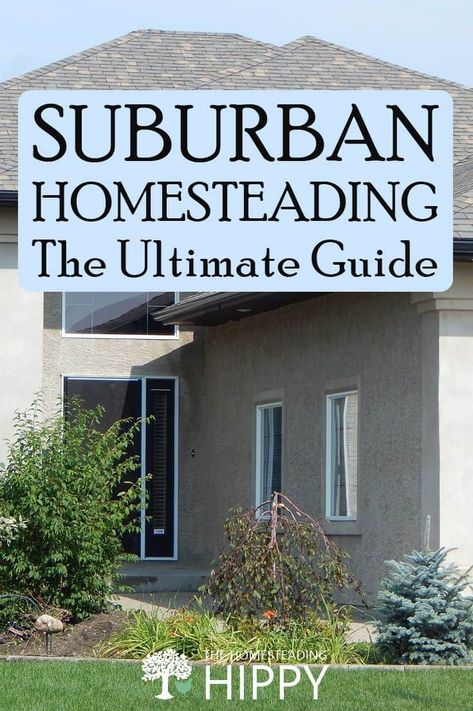 Homesteading In The Suburbs, Diy Canning, Acre Homestead, Modern Homesteading, How To Make Compost, Homestead Life, Homestead Ideas, Homesteading Skills, Watering & Irrigation