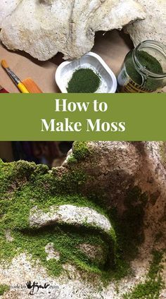 Moss Growing, Growing Moss, Moss Plant, Moss Garden, Concrete Crafts, Healthy Garden, Concrete Diy, Fairy Houses, Garden Crafts