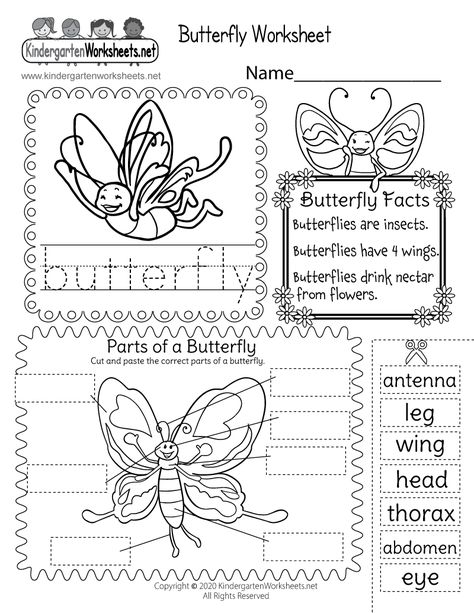 Parts of a Butterfly Worksheet for Kids - Cut and Paste Activity Butterfly Life Cycle Kindergarten, Butterfly Science Activities, Butterfly Body Parts, Parts Of A Butterfly, Birds Activities, Butterfly Worksheet, Spring Colouring, Insects Kindergarten, Butterfly Lessons