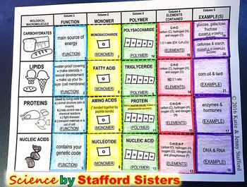 Macromolecule Card Sort Activity Biology Activities, Biology Ideas, Biology Activity, General Biology, School Biology, Biology Resources, Biology Classroom, Biology Labs, High School Biology