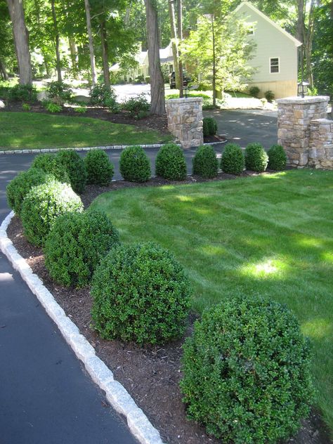 Weston Country Retreat - Traditional - Landscape - New York - by Northeast Horticultural | Houzz Lining Driveway With Plants, Traditional Front Landscaping, Plant Lined Driveway, Landscape Ideas For Large Property, Straight Driveway Landscaping, Shrub Lined Driveway, Expensive Landscaping Ideas, Classic Landscaping Front Yards, Grey House Landscaping Ideas