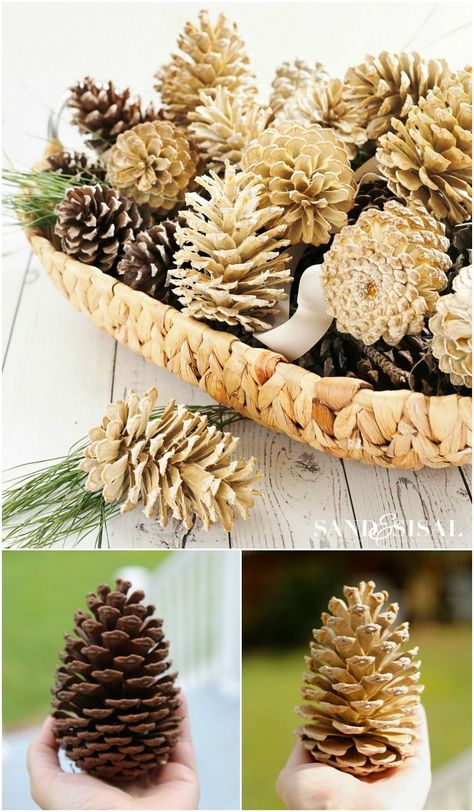 How to Make Beautifully Bleached Pinecones Bleach Pinecones, Easy Thanksgiving Decorations, Pine Cone Art, Diy Pinecone, Pine Cone Decorations, Cones Crafts, Diy Christmas Decorations, Pine Cone Crafts, Thanksgiving Decor