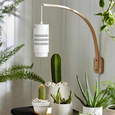 From aesthetic pieces like planters, pots, plant stands, and boxes, to functional items like misters and watering cans, these are the best places to buy indoor plant accessories. Grow Lamps Indoor, Grow Lights For Houseplants Set Up, Indoor Plant Lighting Ideas, Grow Light Set Up, Plant Lights Indoor Setup, Grow Light Ideas, Grow Lights For Houseplants, Grow Shelf, Grow Lights Diy