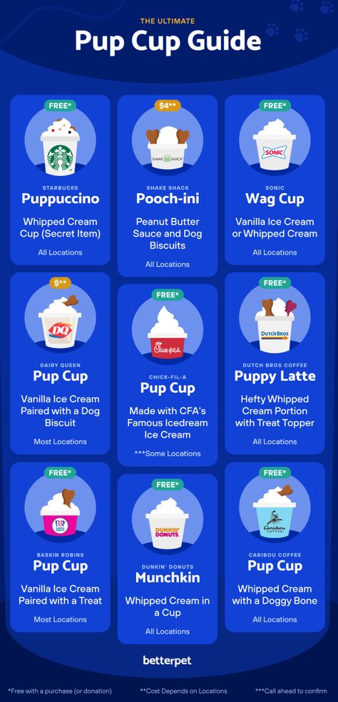 Cane Corso Facts, Homemade Pup Cups, Pup Cups Recipe, Pup Cups, Pup Cup, Foods Dogs Can Eat, Pet Treats Recipes, Easy Dog Treat Recipes, Puppy Mom