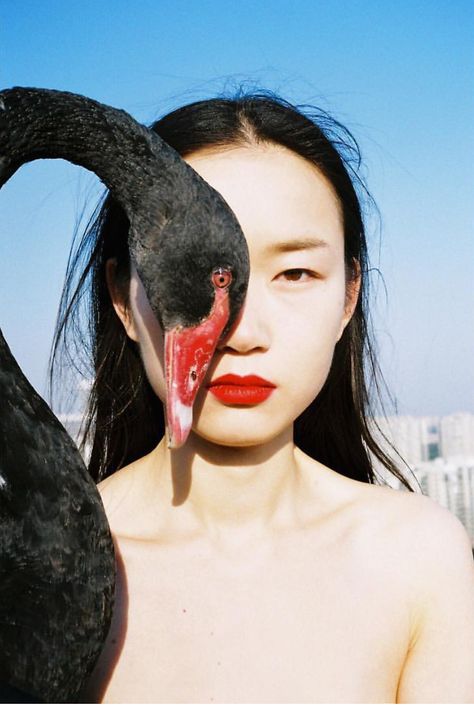 Photo by Ren Hang Ren Hang, Wow Art, Other Half, 영감을 주는 캐릭터, Black Swan, 인물 사진, Magazine Photography, Pics Art, Fashion Editorial