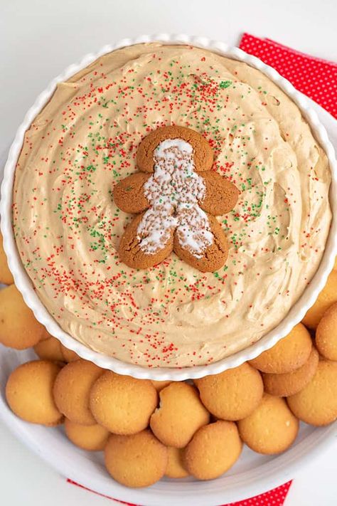 Gingerbread Cookie Dip - This Gingerbread Cookie Dip is spicy, sweet, and tastes just like a delicious gingerbread cookie! It's light and fluffy from the whipped topping and super creamy from all of the cream cheese. It makes the perfect Christmas dip to serve up this Holiday season! #dessertdip #cookiedoughandovenmitt Gingerbread Dip Recipe, Gingerbread Cookie Dip, Cookie Dough Dip Recipe, Cookie Dip, Little Debbie Snack Cakes, Monster Cookie Dough, Dessert Dip Recipes, Dessert Hummus, Cake Dip