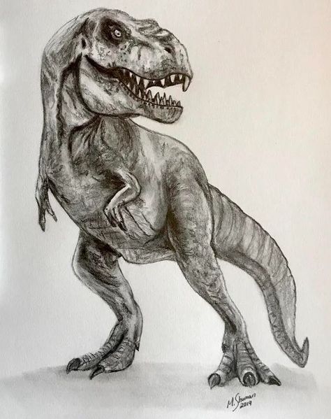 T Rex Tattoo, Dino Drawing, Dinosaur Sketch, Arm Tats, Dinosaur Drawing, Drawing Heads, Tyrannosaurus Rex, The Act, Pencil Sketch