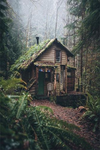 They said he didn't have a heart, that he was incapable of love and t… #werewolf #Werewolf #amreading #books #wattpad Random Idea, Tiny House Nation, Cottage Cabin, Small Cabin, Cabin In The Woods, Cabins And Cottages, Cabin Life, Forest House, Green Roof