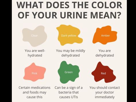 Urine Color, Color Meanings, Dark Yellow, Health Check, Health Awareness, Nutrition Tips, Fitness Beauty, Health Issues, Healthy Habits