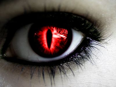 Vampire Eye Vampire Eyes, Regard Animal, Red Contacts, Eternal Soul, Demon Eyes, Halloween Contacts, Crazy Eyes, Magic Eyes, Aesthetic Eyes