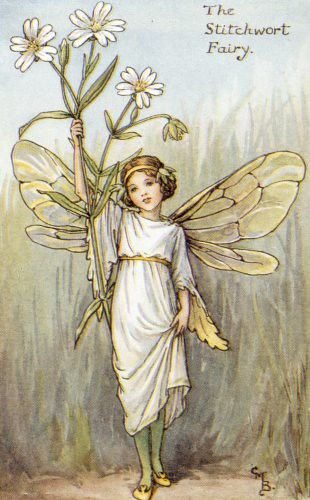 Fairy Nursery, Fairy Vintage, Fairy Drawings, Fairy Illustration, Cicely Mary Barker, Fairy Artwork, Vintage Fairies, Flower Fairies, Fairytale Art