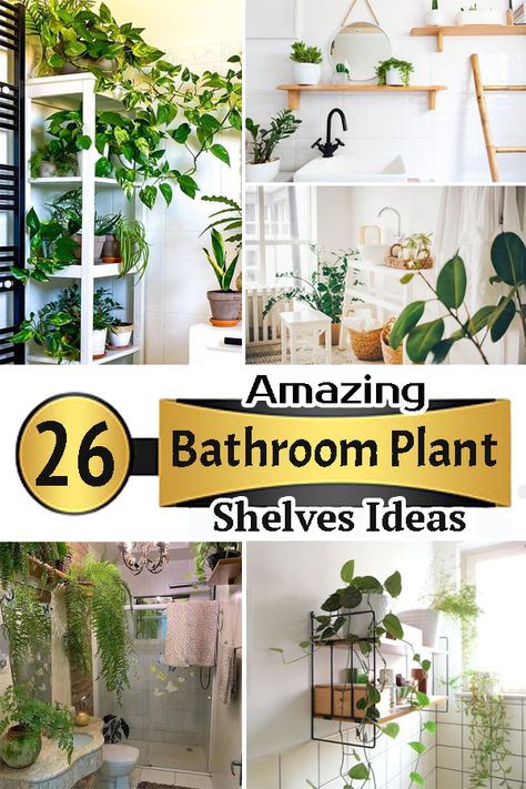 Want to introduce greenery to your restroom? Here are some stunning Bathroom Plant Shelves Ideas that you can use to upgrade your shower space! Bathroom Plants Shelf, Bathroom Shelves For Plants, Bathroom Shelves With Plants, Hanging Plant Bathroom Window, Plants For Bathroom Decorating Ideas, Shower Shelf For Plants, Spa Bathroom Plants Master Bath, Bathroom Window Plant Shelf, Small Bathroom Plants Decor Ideas