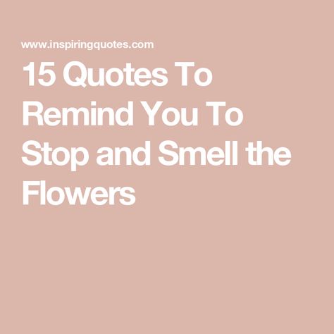 15 Quotes To Remind You To Stop and Smell the Flowers Take Time To Smell The Flowers Quotes, Stop And Smell The Flowers Quote, Smell The Flowers Quote, Smell The Roses Quote, Rose Flower Quotes, Flower Quotes Life, Blossom Quotes, Stop And Smell The Flowers, Stop And Smell The Roses