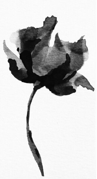 Black Watercolor Flowers, Black Watercolor Art, Black And White Ink Drawings, Watercolor Art Black And White, Black Watercolor Tattoo, Black And White Poppy, Black Ink Painting, Watercolor Black And White, Black And White Watercolor