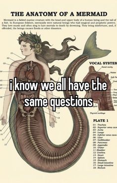 Dear Diary Quotes, Photo Awards, Relatable Whispers, Careless Whisper, Whisper Confessions, A Mermaid, Silly Me, Whisper Quotes, Dear Diary