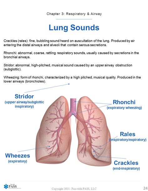 Lung Sounds Nursing, Nremt Study, Paramedic Study, Respiratory Therapist Student, Emt School, Respiratory Therapy Student, Emt Study, Medical Terminology Study, Lung Sounds